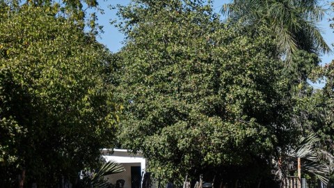 Militares en Sinaloa