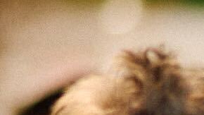 Nithya Raman quiere que Los Ángeles sea una ciudad de oportunidades para todos.