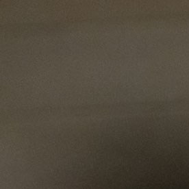 Nancy Mace, representante por Carolina del Sur