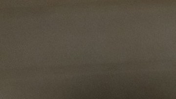 Nancy Mace, representante por Carolina del Sur