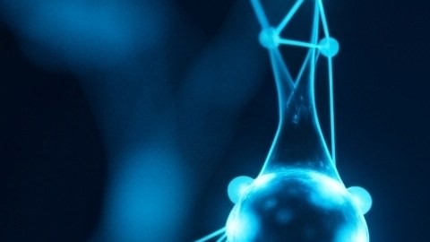 CL1 demuestra las capacidades que pueden llegar a tener las computadoras biomecánicas