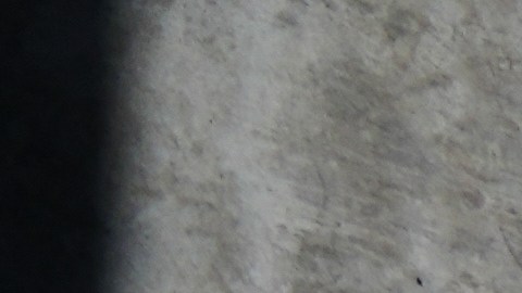 The exterior of LAUSD headquarters is shown Wednesday, Feb. 25, 2026, in Los Angeles. (AP Photo/Damian Dovarganes)