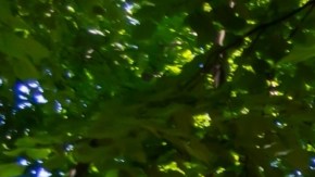 ¿Está en riesgo la calidad del aire? Cambio de estándares compromete que neblina regrese a los parques nacionales