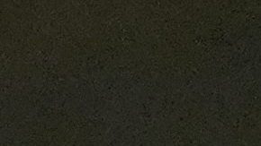 Paul Thomas Anderson se lleva el Óscar como Mejor Director por la cinta "One Battle After Another".