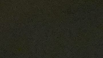 Paul Thomas Anderson se lleva el Óscar como Mejor Director por la cinta "One Battle After Another".