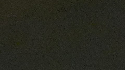 Paul Thomas Anderson se lleva el Óscar como Mejor Director por la cinta "One Battle After Another".