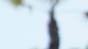Members of the Los Angeles County Sheriffs Department's HOST, Homeless Outreach Service Team, walk with a homeless man Tuesday, June 8, 2021, in the Venice Beach section of Los Angeles. (AP Photo/Marcio Jose Sanchez)