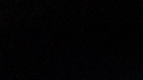 PimEyes puede ayudarte a encontrar fotos vergonzosas que compartiste en Internet y no recordabas