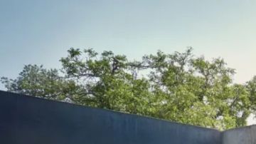 Porsche Cayenne S Electric 2026