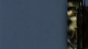 A car drives behind the gasoline price board of a gas station in San Francisco, Thursday, March 5, 2026. (AP Photo/Jeff Chiu)