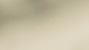 Precio del dólar en México, 18 de marzo