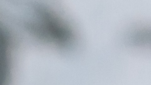 Precio del dólar en México, 24 de marzo