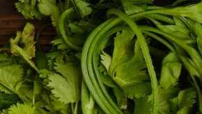 Dietas recomendadas por la IA: de herramienta útil o un riesgo para la nutrición de los adolescentes