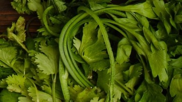 Dietas recomendadas por la IA: de herramienta útil o un riesgo para la nutrición de los adolescentes