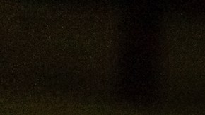 Vegas es violinista, producto del Sistema Nacional de Orquestas y Coros Juveniles e Infantiles de Venezuela.