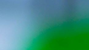 Recortes de salud en Florida amenazan el acceso a medicamentos para el VIH