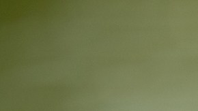 Estadounidenses se sienten desprotegidos sobre exposición a sustancias químicas tóxicas