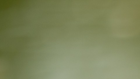 Estadounidenses se sienten desprotegidos sobre exposición a sustancias químicas tóxicas