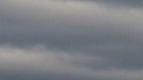 Medicaid comenzó a compartir datos individuales con el ICE, reinó el miedo entre migrantes y se llegó a un punto de no retorno