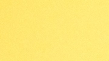 Tu relación con el dinero