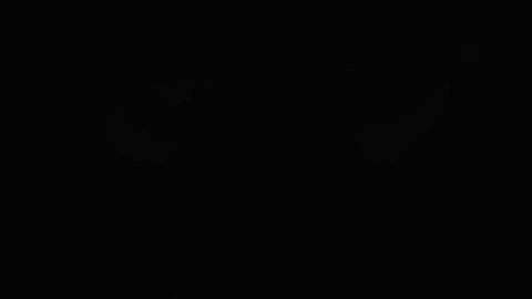 Robo de identidad laboral