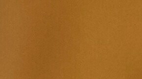 Senador Rubén Gallego