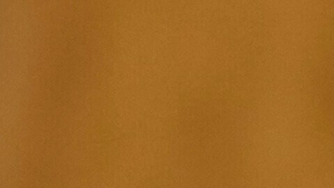 Senador Rubén Gallego