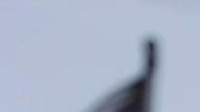 Claudia Sheinbaum respalda iniciativa de AMLO para apoyar a Cuba