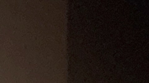 Alcaldesa alertó que la instalación enviaría “una señal preocupante” a la población hispana del área metropolitana.