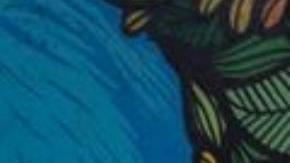 ¿Sabes de tu salud cardiovascular? Encuesta indica que debemos mejorar