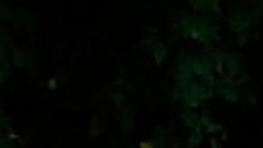 Se espera que la Corte Suprema emita su decisión a finales de junio o principios de julio.