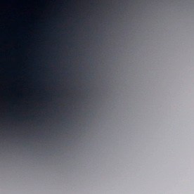 A rattlesnake coils in the outdoor rotunda at the Capitol, Monday, Feb. 2, 2015, in Austin, Texas. Members of the Sweetwater Jaycees brought rattlesnakes to promote their annual rattlesnake round-up and help educate visitors. (AP Photo/Eric Gay)