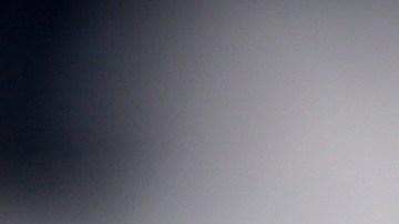 A rattlesnake coils in the outdoor rotunda at the Capitol, Monday, Feb. 2, 2015, in Austin, Texas. Members of the Sweetwater Jaycees brought rattlesnakes to promote their annual rattlesnake round-up and help educate visitors. (AP Photo/Eric Gay)