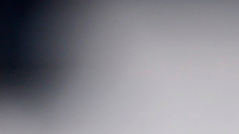 A rattlesnake coils in the outdoor rotunda at the Capitol, Monday, Feb. 2, 2015, in Austin, Texas. Members of the Sweetwater Jaycees brought rattlesnakes to promote their annual rattlesnake round-up and help educate visitors. (AP Photo/Eric Gay)