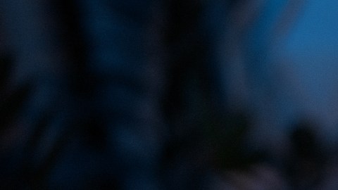 ¿Por qué duermes y sientes que no sueñas?