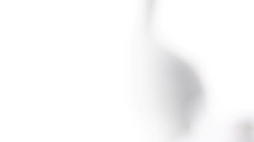 Consumir té negro varias veces al día puede ayudar a reducir la inflamación en el cuerpo