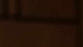 Ted Cruz, senador por Texas