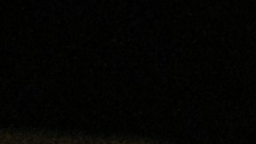 "They Will Kill You."