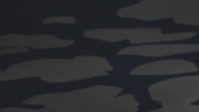 Trump libera barriles de petróleo para bajar precios