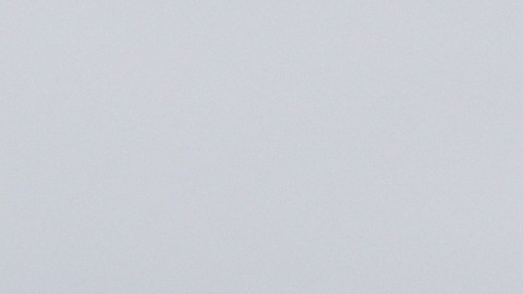 Trump y Putin hablan por teléfono sobre el conflicto en Irán y una posible solución para Ucrania