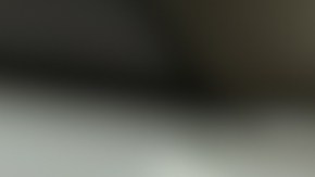 Aumentan casos de la "peste blanca" en EE.UU.