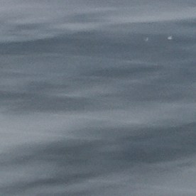 An Immigration and Customs Enforcement vehicle is parked outside the U.S. Immigration and Customs Enforcement (ICE) building Wednesday, Sept. 24, 2025, in Broadview, Ill. (AP Photo/Erin Hooley)