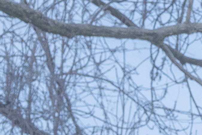 What Happens at Night Martin Scorsese Apple TV