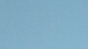 William Levy nueva novia