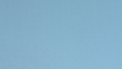 William Levy nueva novia