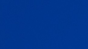 XMoney de Elon Musk y Visa