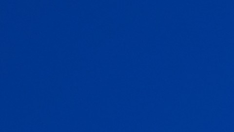 XMoney de Elon Musk y Visa