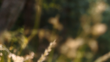 Persona asustada durante una caminata en un sendero de California mirando algo en el suelo sin identificar, posible encuentro con un animal peligroso.