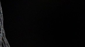 ONU urgió a implementar acciones para evitar la pérdida irreversible de especies clave en los ecosistemas del planeta.