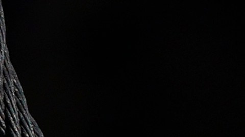 ONU urgió a implementar acciones para evitar la pérdida irreversible de especies clave en los ecosistemas del planeta.